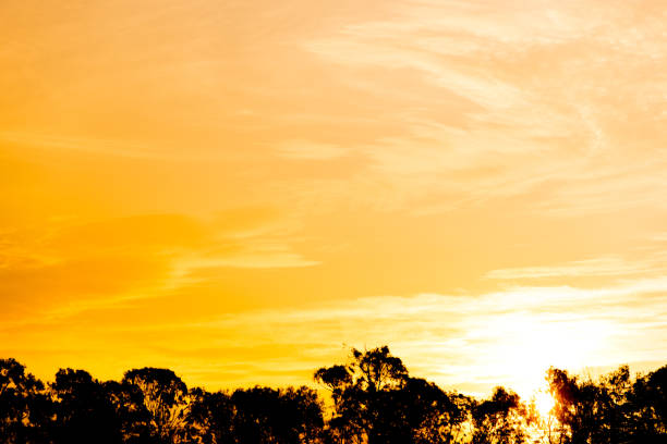 Beautiful nature background - red sunset, bright sun
