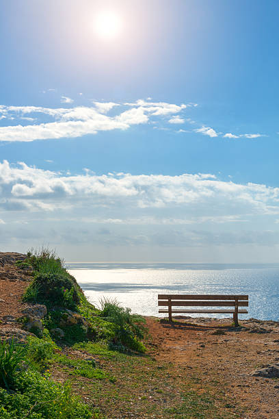 Wooden bench by the lone tree (Kefalonia, Greece).