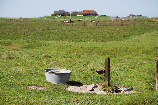The Halligen (singular Hallig) are ten small German islands without protective dikes in the North Frisian Islands on Schleswig-Holstein's Wadden Sea-North Sea coast in the district of Nordfriesland