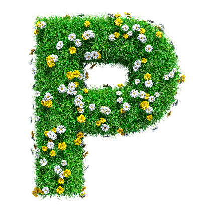 Letter P Of Green Grass And Flowers Stock Photo - Download Image Now -  Alphabet, Letter P, Flower - iStock