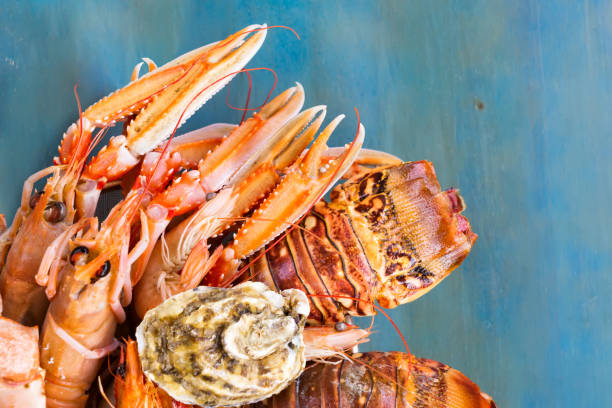 istock Fresh seafood on blue background 639220716