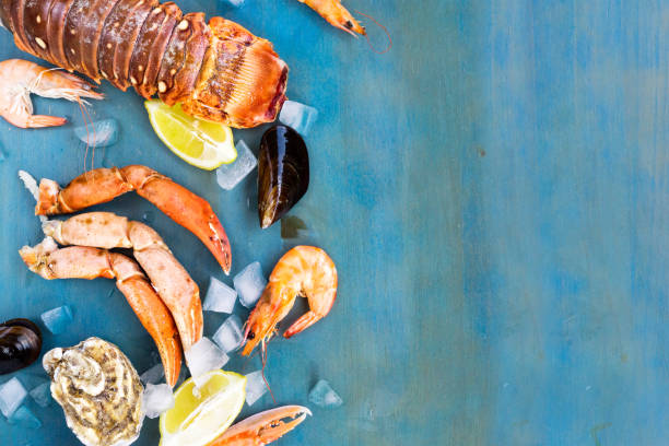 istock Fresh seafood on blue background 639220774