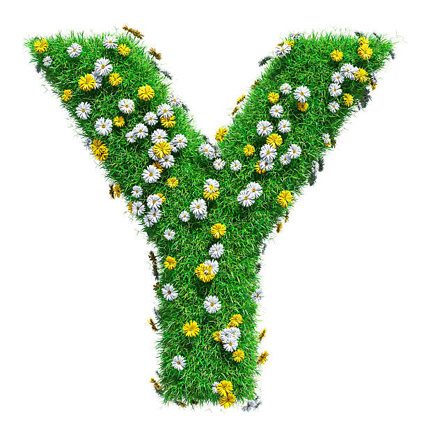 緑の草と花の文字y - letter y alphabet three dimensional shape green ストックフォトと画像