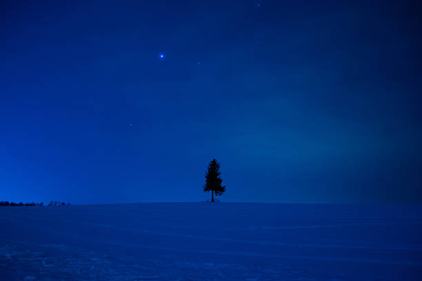 Snowfield at night and Venus