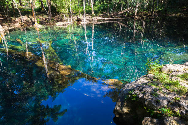 istock Still lake in tropical forest, natural landscape 639222428