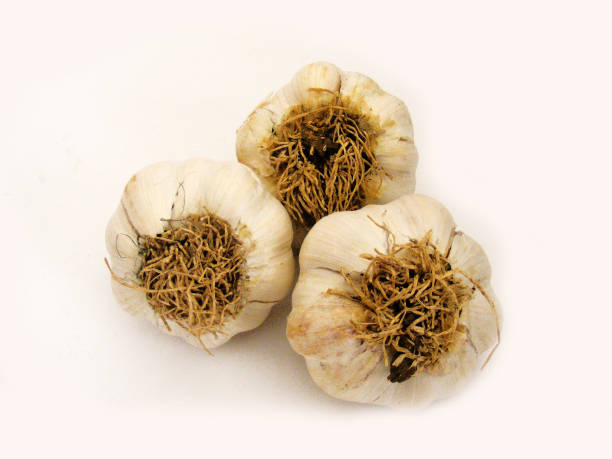 istock Single and multiple garlic macro stock pictures 639222592