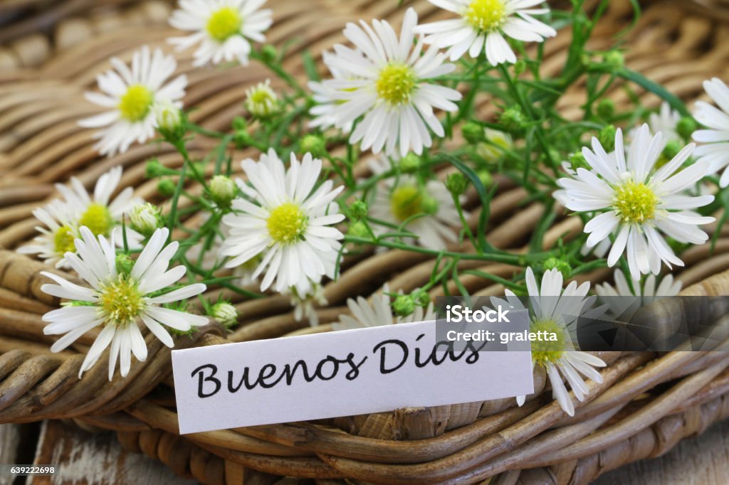 Foto de Buenos Dias Com Flores De Camomila e mais fotos de stock de Bandeja  - iStock