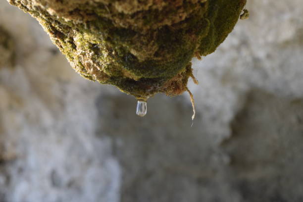 istock Birth of a water drop 639223132