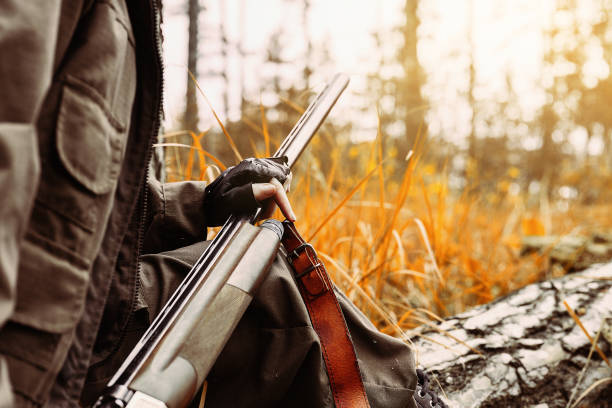 Woman hunter with a gun. Hunting in the woods. stock photo