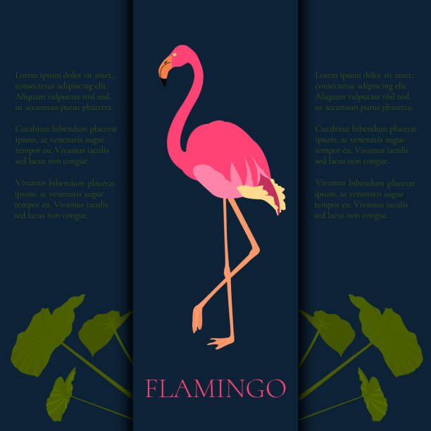 フラミンゴデザインテンプレート - flamingo bird isolated animal leg点のイラスト素材／クリップアート素材／マンガ素材／アイコン素材