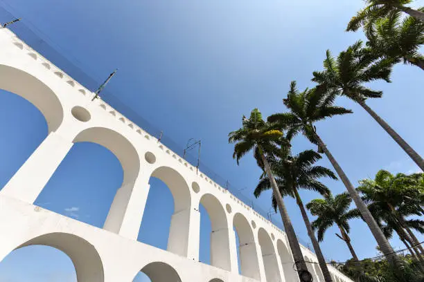 Photo of Lapa Arch and Palm Trees