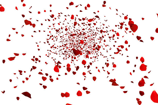 istock red colorful petals rose flying on white background 639224740