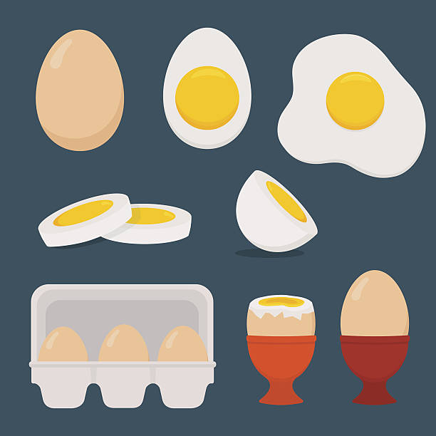 illustrations, cliparts, dessins animés et icônes de oeufs mis isolé sur fond bleu foncé. - eggs animal egg cracked egg yolk