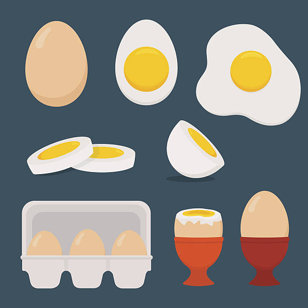 jaja ustawione izolowane na ciemnoniebieskim tle. - eggs stock illustrations