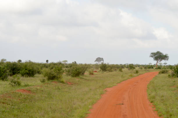 istock Red and savannah trail 639227948