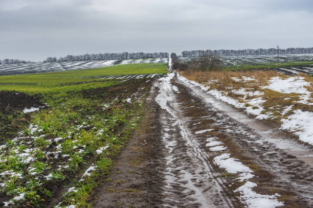 istock Landscape with an earth road between agricultural fields 639229274