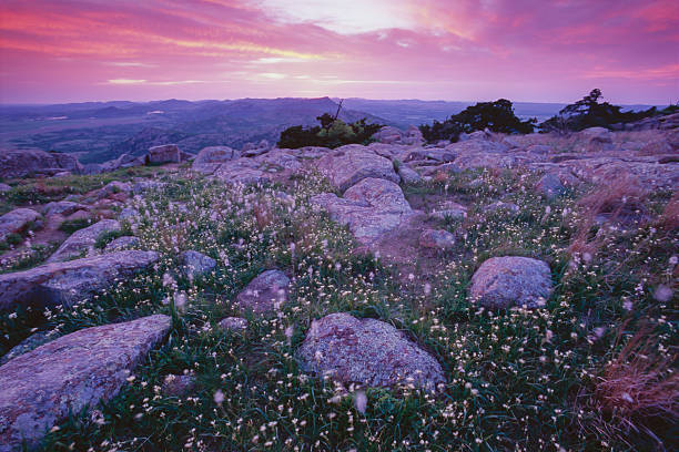 Mt. Scott Sunset and Wild Hyacinth, Wichita Mtns., Oklahoma stock photo