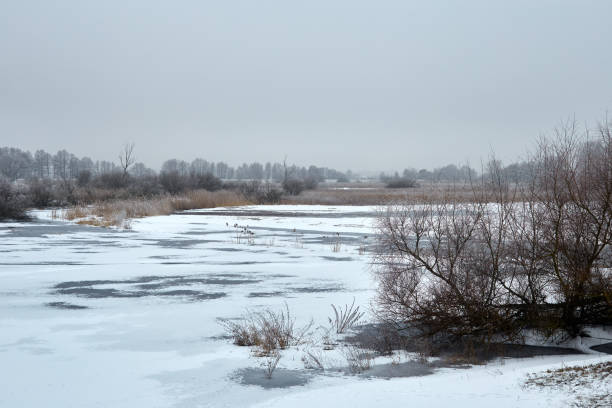 istock Winter landscape and trees 639234056