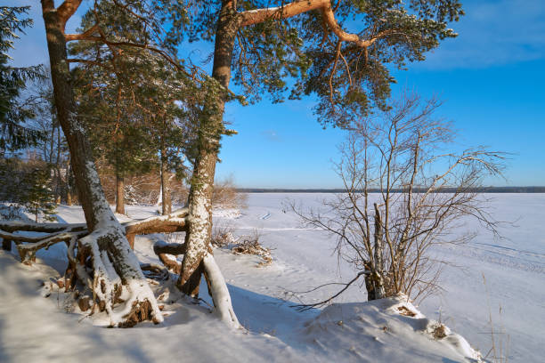 istock Vselug lake in winter 639234814