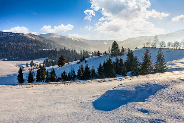 istock spruce forest on snowy meadow in high mountains 639235246