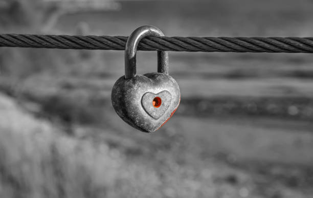 istock Heart shaped padlock on metal cable in black and white. 639235270