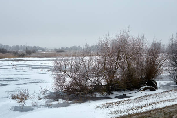 istock Winter landscape and trees 639236028