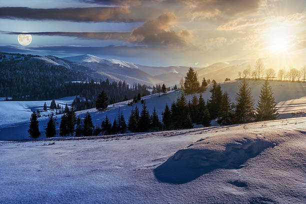 istock spruce forest on snowy meadow in high mountains 639236234