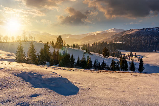 istock spruce forest on snowy meadow in high mountains at sunset 639236680