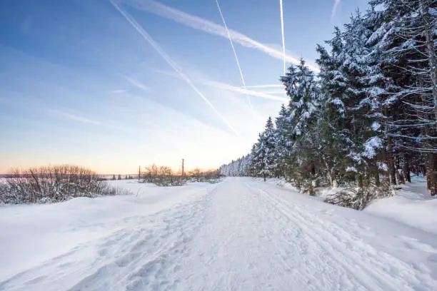 winter sunset at the hautes Fagnes in belgium