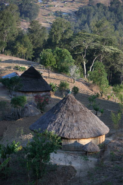 istock ASIA EAST TIMOR TIMOR LESTE MOUBISSE LANDSCAPE 639236964