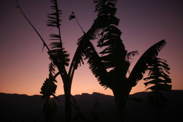 istock ASIA EAST TIMOR TIMOR LESTE VIQUEQUE 639237094