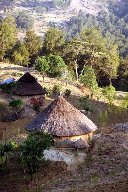 istock ASIA EAST TIMOR TIMOR LESTE MOUBISSE LANDSCAPE 639237236