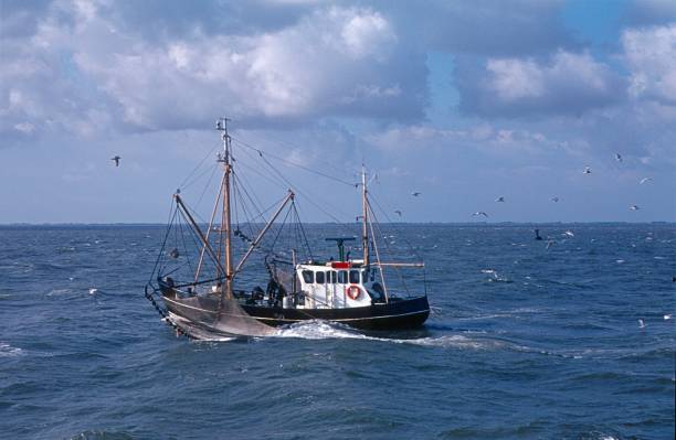 istock Fishing boat, North sea 639237914