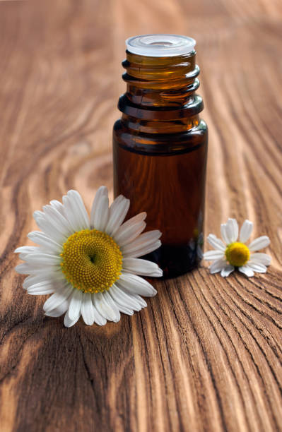 istock Small bottle with essential oil of chamomile 639239288