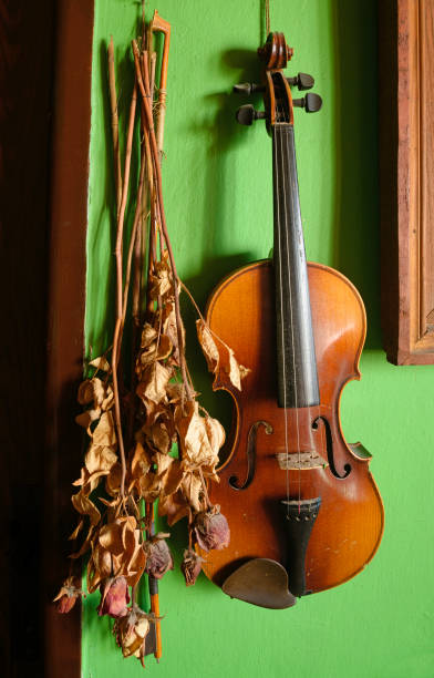 violin end bow stock photo