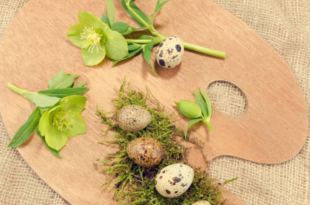 istock Easter palette with quail eggs and hellebore close up 639243282