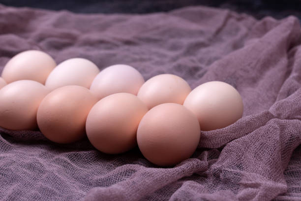 ナプキンに茶色の卵 - agriculture brown burlap cholesterol ストックフォトと画像