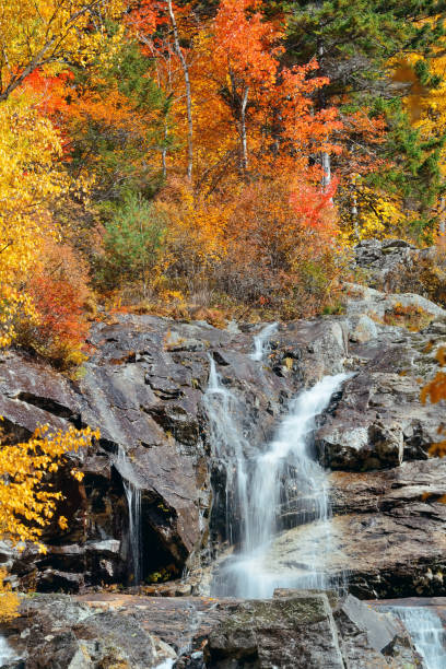 istock Colorful Autumn creek 639248124