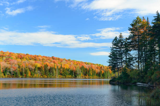 istock Lake Autumn Foliage 639248376
