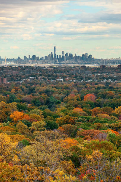 istock New York City skyline viewed from park 639248954