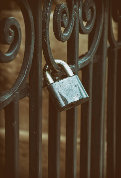 istock Iron lock on the black forged fence 639248962