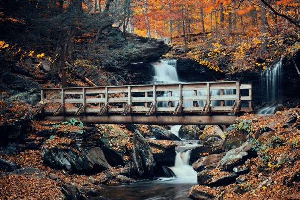istock Autumn waterfalls 639249158