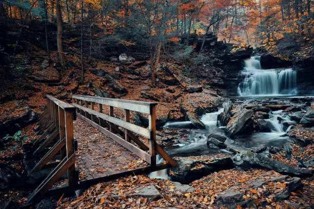istock Autumn waterfalls 639249222