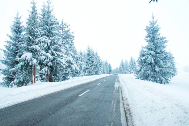 istock Empty road in winter landscape in Lika, Croatia 639250320