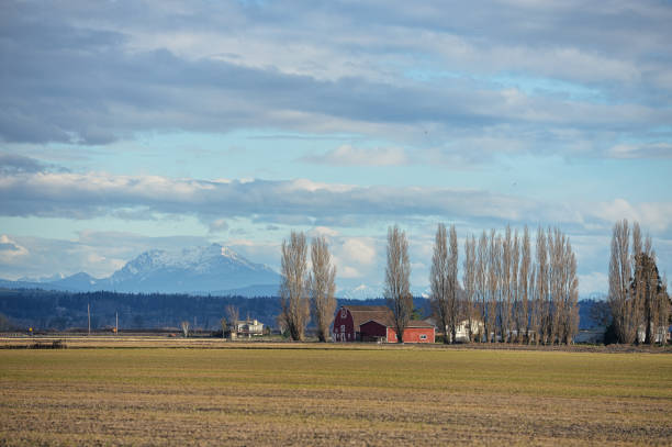 istock Skagit Valley, Washington 639250322