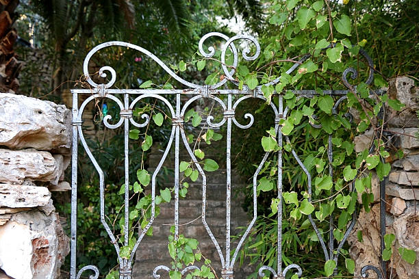 Beautiful old garden doors overgrown in leaves. Selective focus.
