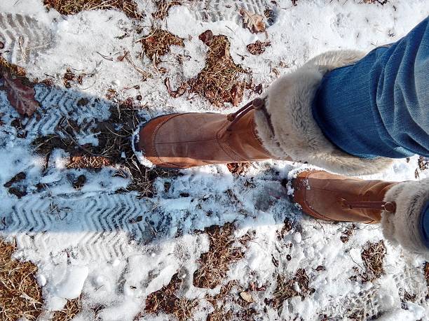 istock Walking on the snow 639256930