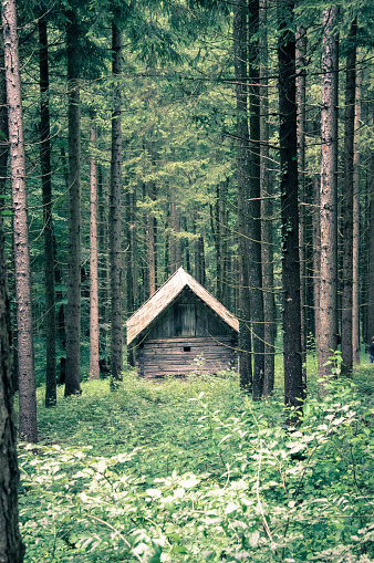 Old wooden Cabin, shot in Austria in the forest - Stock image
