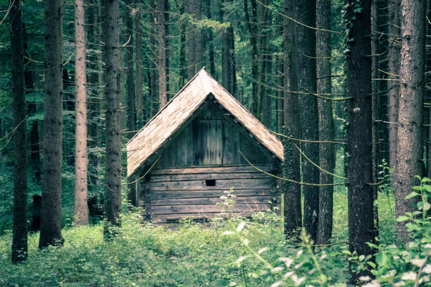 istock Old wooden Cabin - Stock image 639259154