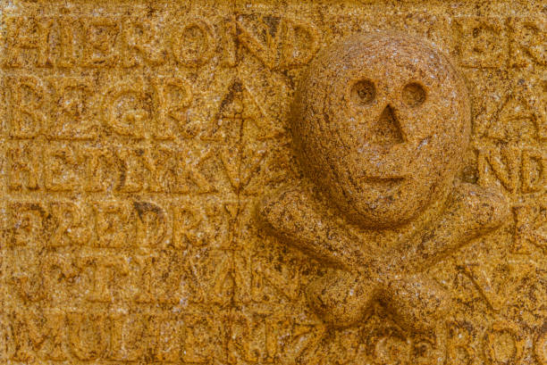 istock Skull and bones at tombstone 639259332